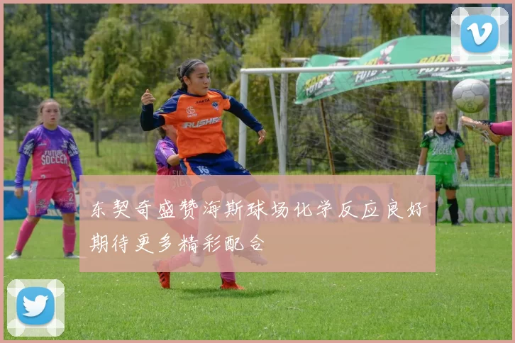 东契奇盛赞海斯球场化学反应良好期待更多精彩配合