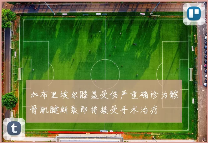 加布里埃尔膝盖受伤严重确诊为髌骨肌腱断裂即将接受手术治疗
